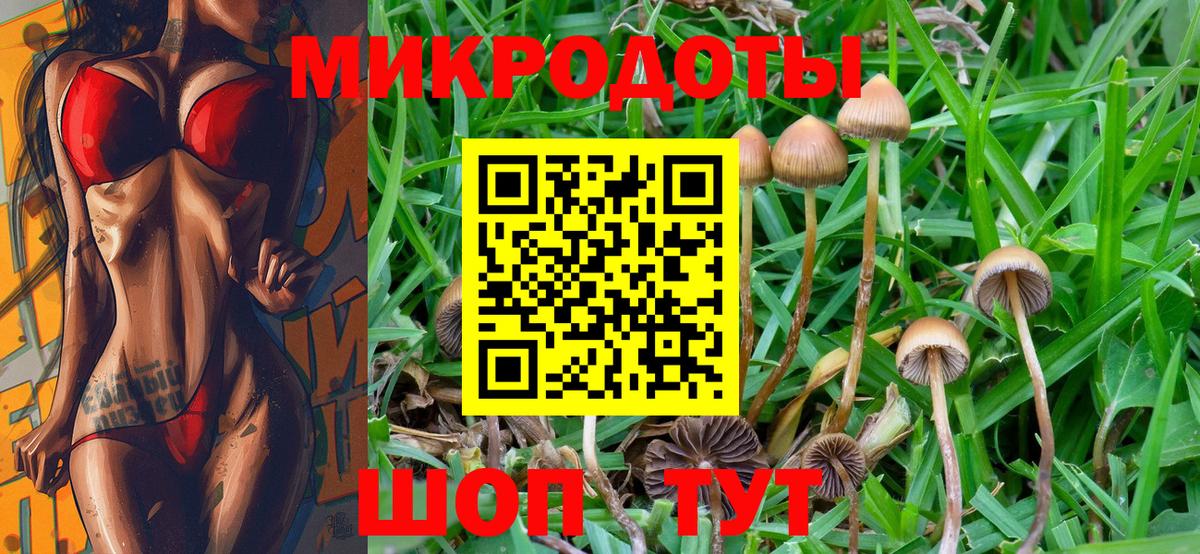Псилоцибиновые грибы Psilocybe Тула