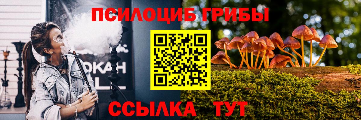 Тула  как найти закладки  Вход с VPN  Галлюциногенные грибы Psilocybine cubensis 